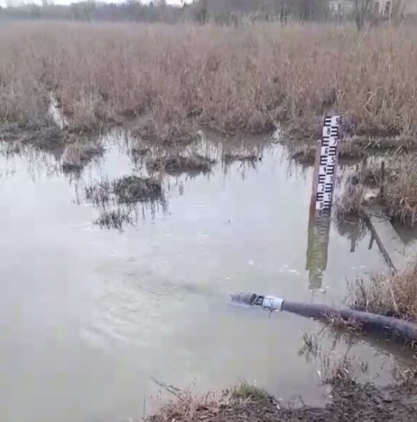 Ős Dong-ér szivornya 02.05