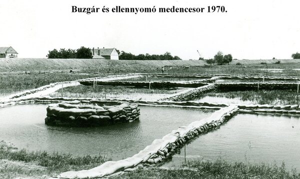 1970 buzgar.jpg